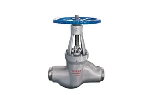 Butt-Weld Globe Valve (J61Y)