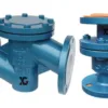 Fluorine-Lined Check Valve