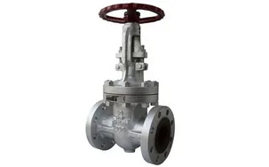 缇庢爣闂搁榾 ANSI Gate Valve