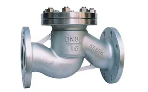 Lift Check Valve