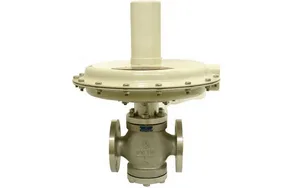 Self-operated Differential Pressure Control Valve: