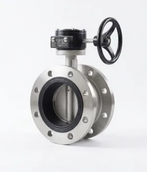 Flanged Stainless Steel Butterfly Valve